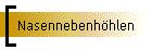 Nasennebenhhlen