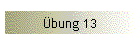 bung 13